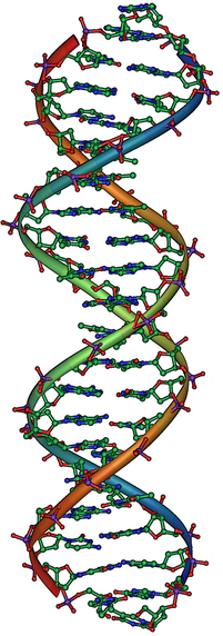 Genetics